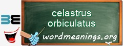 WordMeaning blackboard for celastrus orbiculatus